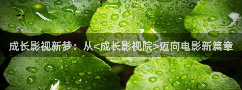 家里私人影院
