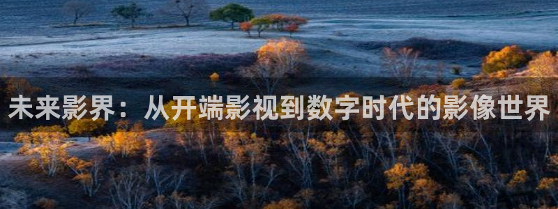 私人高清影院免费