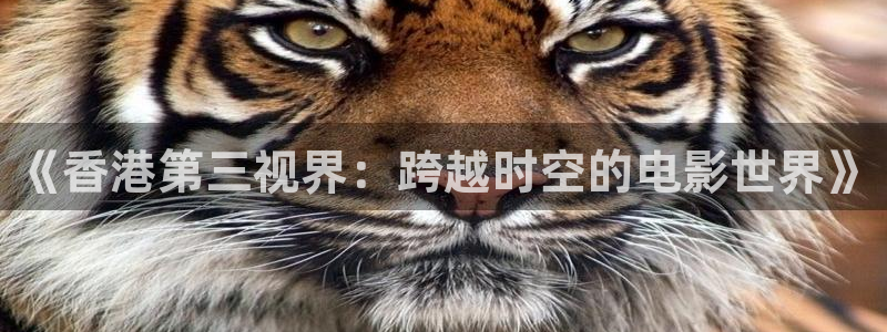 家庭影院和私人影院