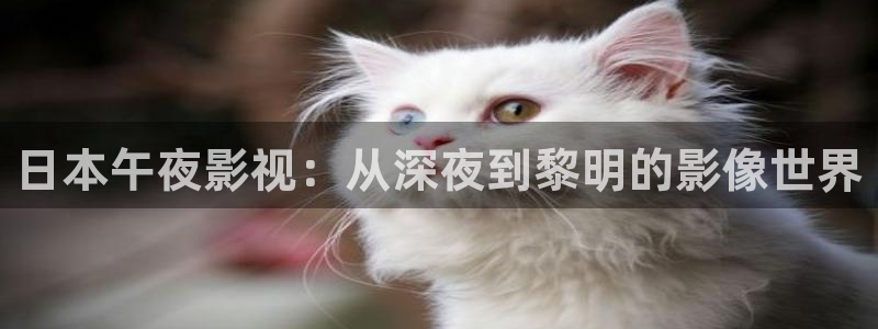 www私人影院