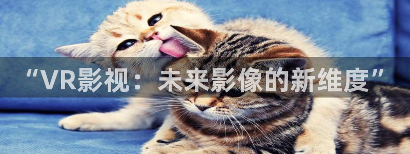 私人影院推荐必看电影